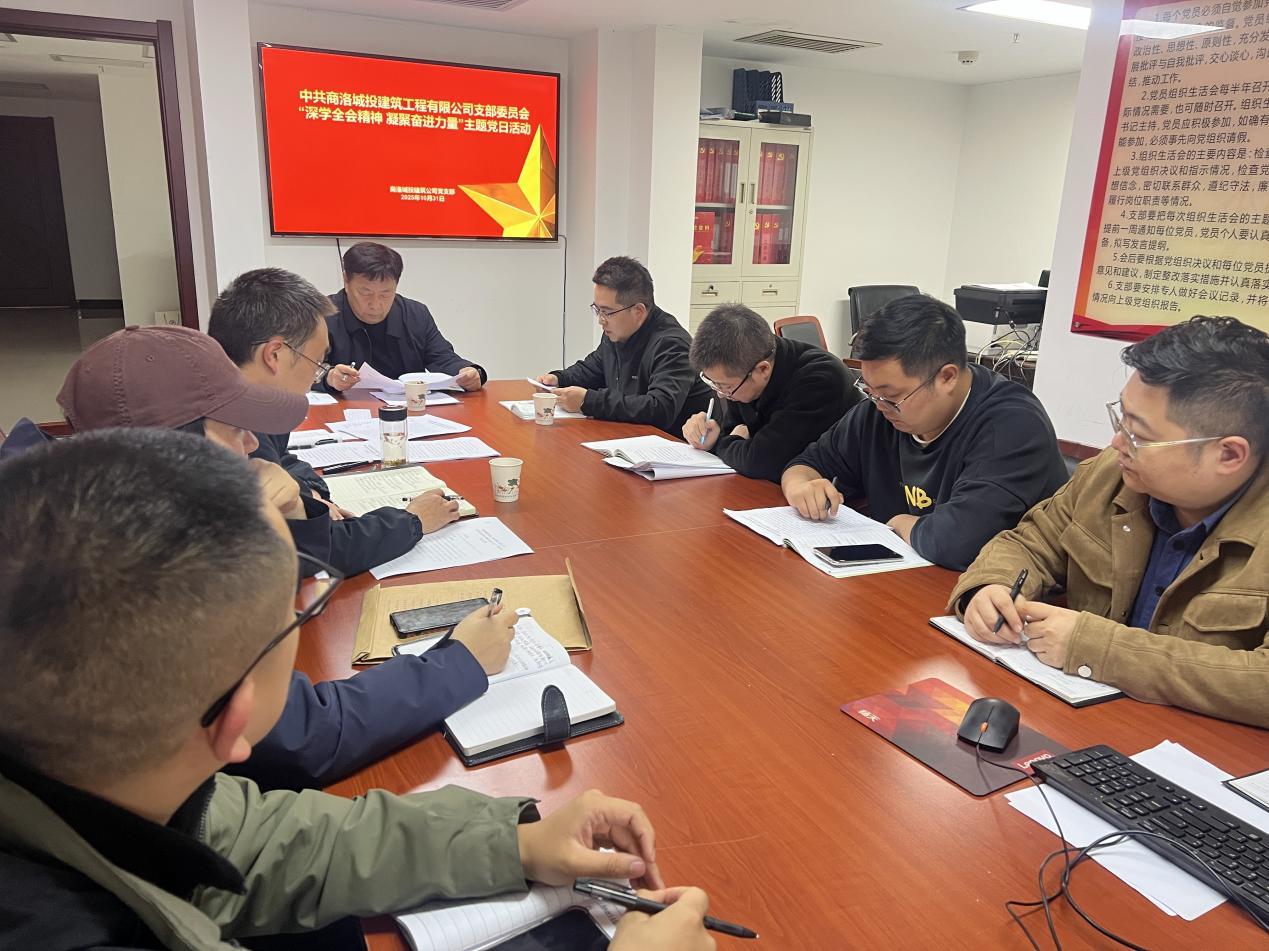 商洛城投建筑工程有限公司黨支部：深學(xué)全會(huì)精神聚合力 黨建引領(lǐng)筑夢(mèng)新征程